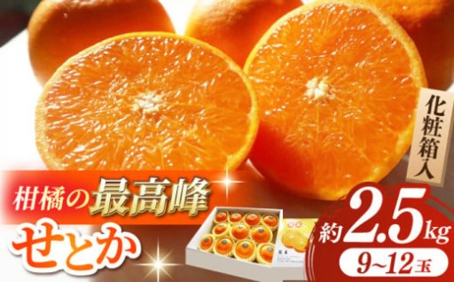 ＼柑橘の大トロ／柑橘の最高峰『せとか』