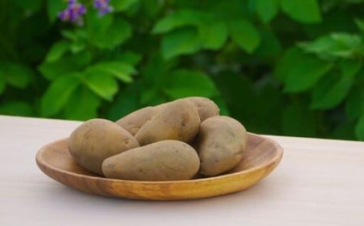 プロが唸る北海道No.1！氷室熟成あつまいも