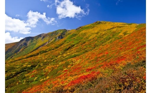【年末年始】ワンストップ特例申請について