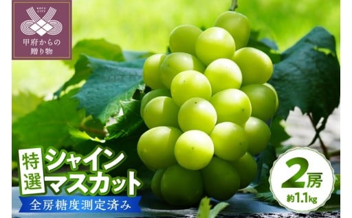 山梨県産特選シャインマスカット2房　約1.1kg