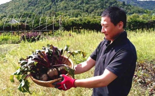 【残りわずか！】季節限定 ビーツ （レッドエース） 約2kg