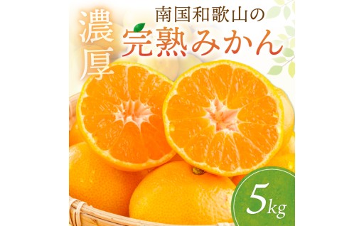 南国和歌山の完熟みかん《先行予約》5kg