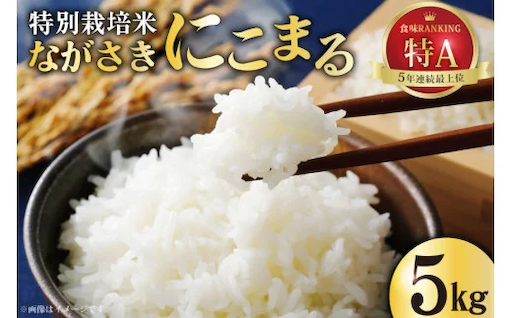 全国米の食味ランキング5年連続最上位「特A」の評価実績