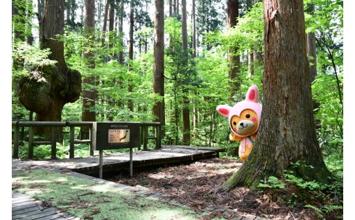 【年末年始】ワンストップ特例申請について