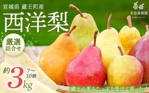 西洋梨詰合せ7種 約3kg（7～10個）【蔵王産】