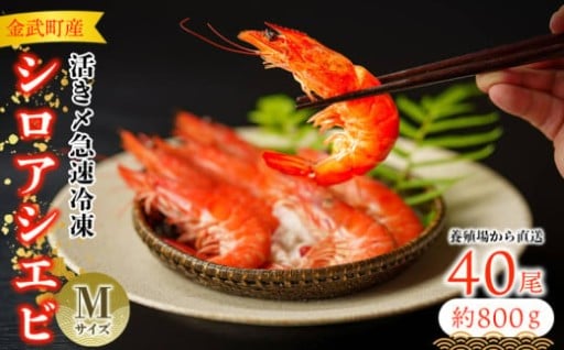 【養殖場から直送】活き〆急速冷凍 金武町産 シロアシエビ Mサイズ （バナメイエビ） 