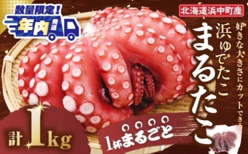 年内発送!!　浜中町の極太「まるたこ」🐙✨