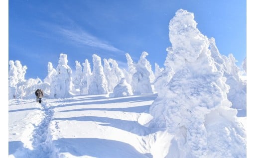 北秋田市はオンラインワンストップ「IAM」に対応しております！詳しくは「北秋田市からのご案内」から！