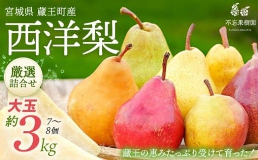 西洋梨詰合せ約2.5～3kg（7～8個）【蔵王産】