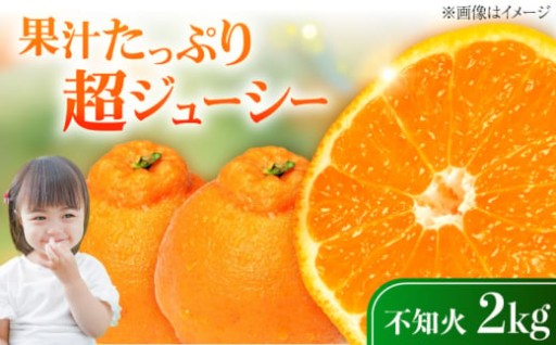 甘みと酸味の完璧バランス！不知火🍊