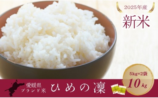 ✨大粒、華やか✨愛媛県ブランド米【ひめの凜】精米10㎏セット🌾