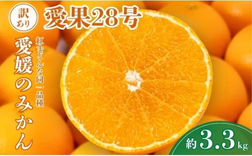 【ご家庭用】とってもジューシー♪ 愛果28号（紅まどんなと同一品種）約3.3kg
