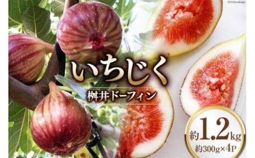 「がんばろう石川！」宝達志水町産の完熟イチジク