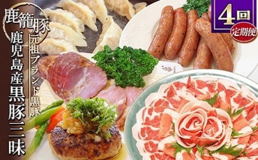 ＜発送月固定定期便＞鹿児島県産黒豚三昧 全4回 EE0-0005