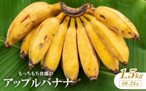 もっちり！？希少なバナナ