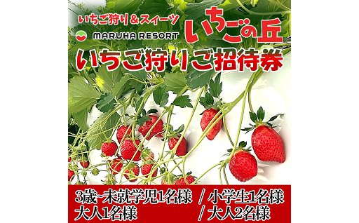 いちごの丘『いちご狩り』チケット