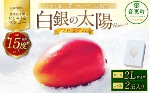 ［先行受付］おとふけ産マンゴー「白銀の太陽プレミアム」2Lサイズ×2玉【D18】