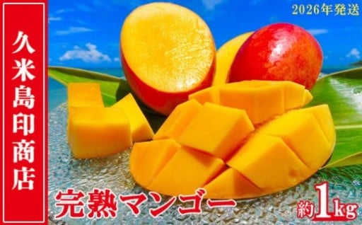 【2026年発送】 完熟マンゴー 約1kg