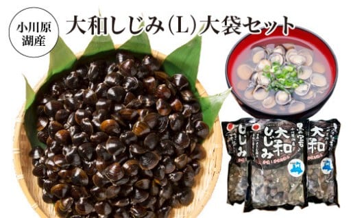 小川原湖産 大和しじみ(L)大袋セット 計3kg