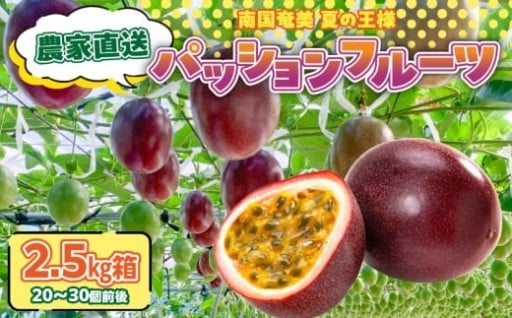 【先行予約受付中】農家直送📦南国奄美の夏の王様👑パッションフルーツ 2.5kg 家庭用