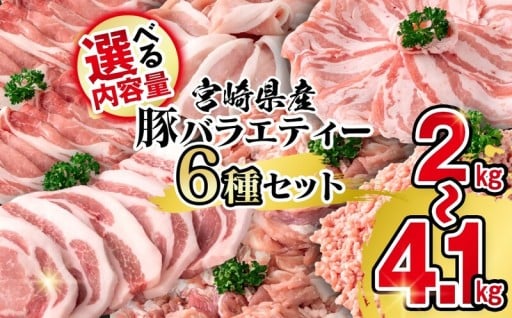12月発送 宮崎県産豚肉 ６種 バラエティセット