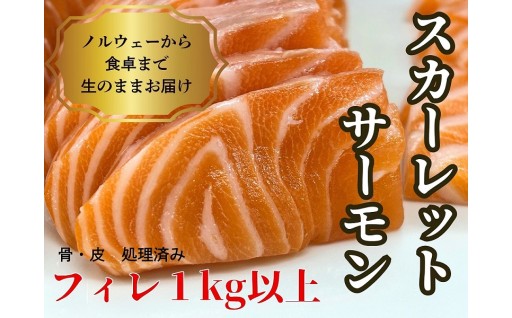 熊谷市のサーモン！？