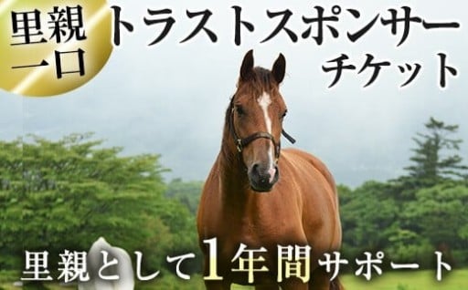 馬主のいない馬を助けたい！トラストスポンサーチケット(1枚) 【NPO法人ホーストラスト】
