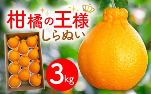 手で剥いてパクッ！甘～い完熟不知火3kg