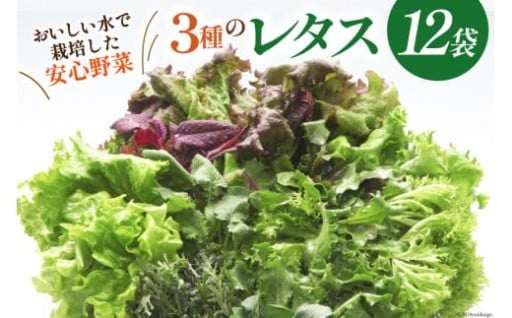 日本一ちいさな村の野菜工場でつくった安心野菜