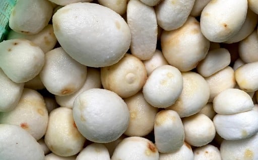 ねっとりと濃い味わいの里芋皮むき400g3パック