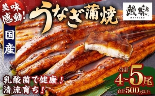 極上鰻！うまい！うなぎ 国産 うなぎ蒲焼 4～5尾 計500g以上