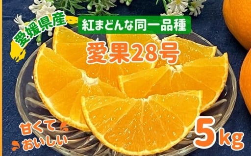 🍊甘くておいしい😋愛果28号 5kg 農家直送🚚