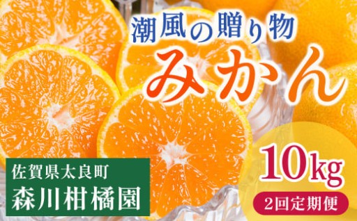 潮風の贈り物（みかん）10㎏【２回定期便】