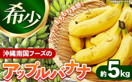 【NEW】南国フーズのアップルバナナ 約５kg