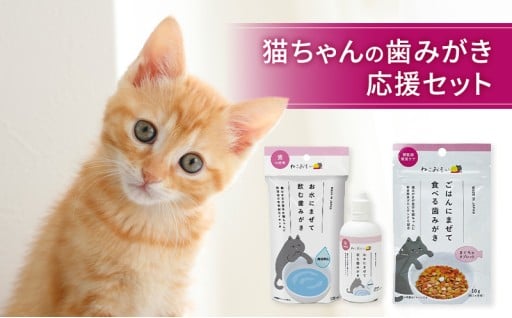 猫ちゃんの歯みがき応援セット