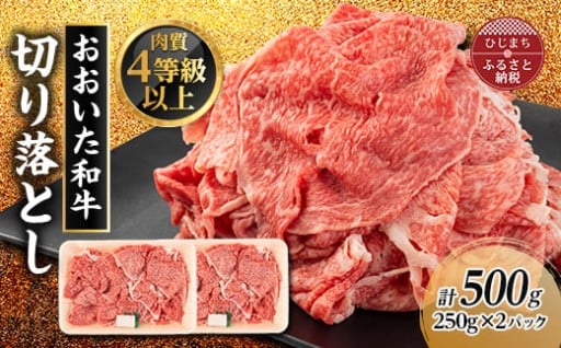 【使い方いろいろ！】おおいた和牛切り落とし(500g)✨