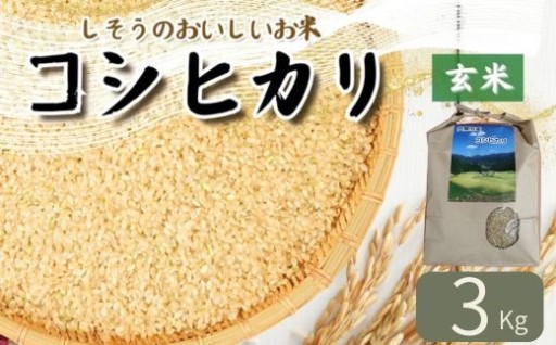 ★兵庫県　宍粟市産　コシヒカリ　玄米　3Kg ★