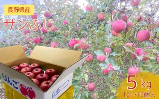 長野県産 サンふじ 約5kg