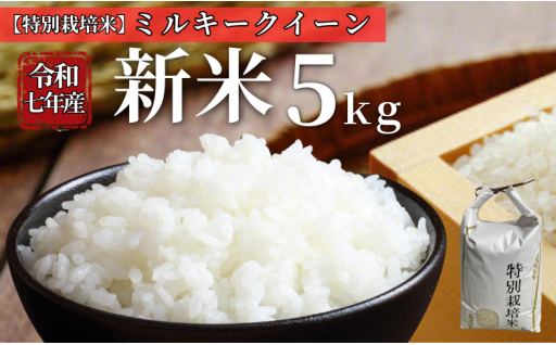 特別栽培米🌾ミルキークイーン精米5kg🍚新米