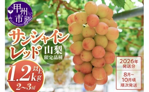 ～山梨県が独自に開発した新品種・サンシャインレッド～