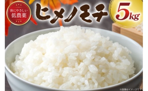 〜低農薬有機肥料栽培で体にやさしい〜