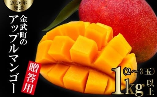 【2026年発送】金武町のアップルマンゴー◆贈答用◆1kg以上（2～3玉）