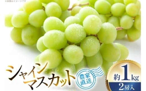 農家直送！新鮮ジューシー