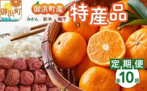 丸安青果の御浜町産特産品（全10回）【御浜町の魅力を年中お届け🚚】