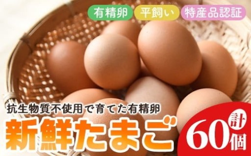 石黒たまご園の平飼い有精卵 60個入り