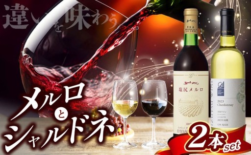 塩尻シャルドネ と塩尻メルロのセット（ 井筒ワイン・五一わいん） 