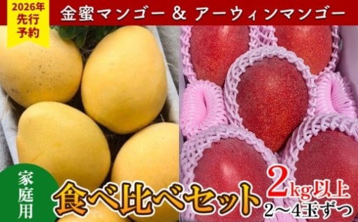 【2026年 先行予約】金蜜マンゴー&アーウィンマンゴー家庭用 食べ比べセット　2kg以上 