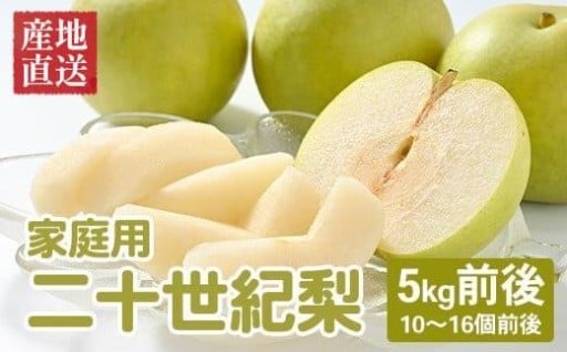 【先行予約】【家庭用】二十世紀梨 5kg前後