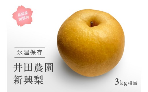 南部町の井田農園より、自慢の梨をお届けします！