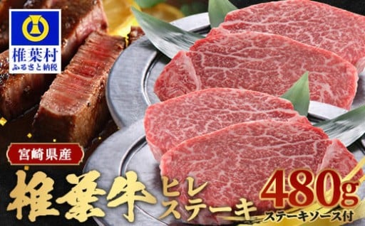 宮崎県産 椎葉牛 ヒレ肉 480g　